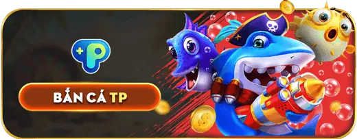 Cá cược thể thao rr8